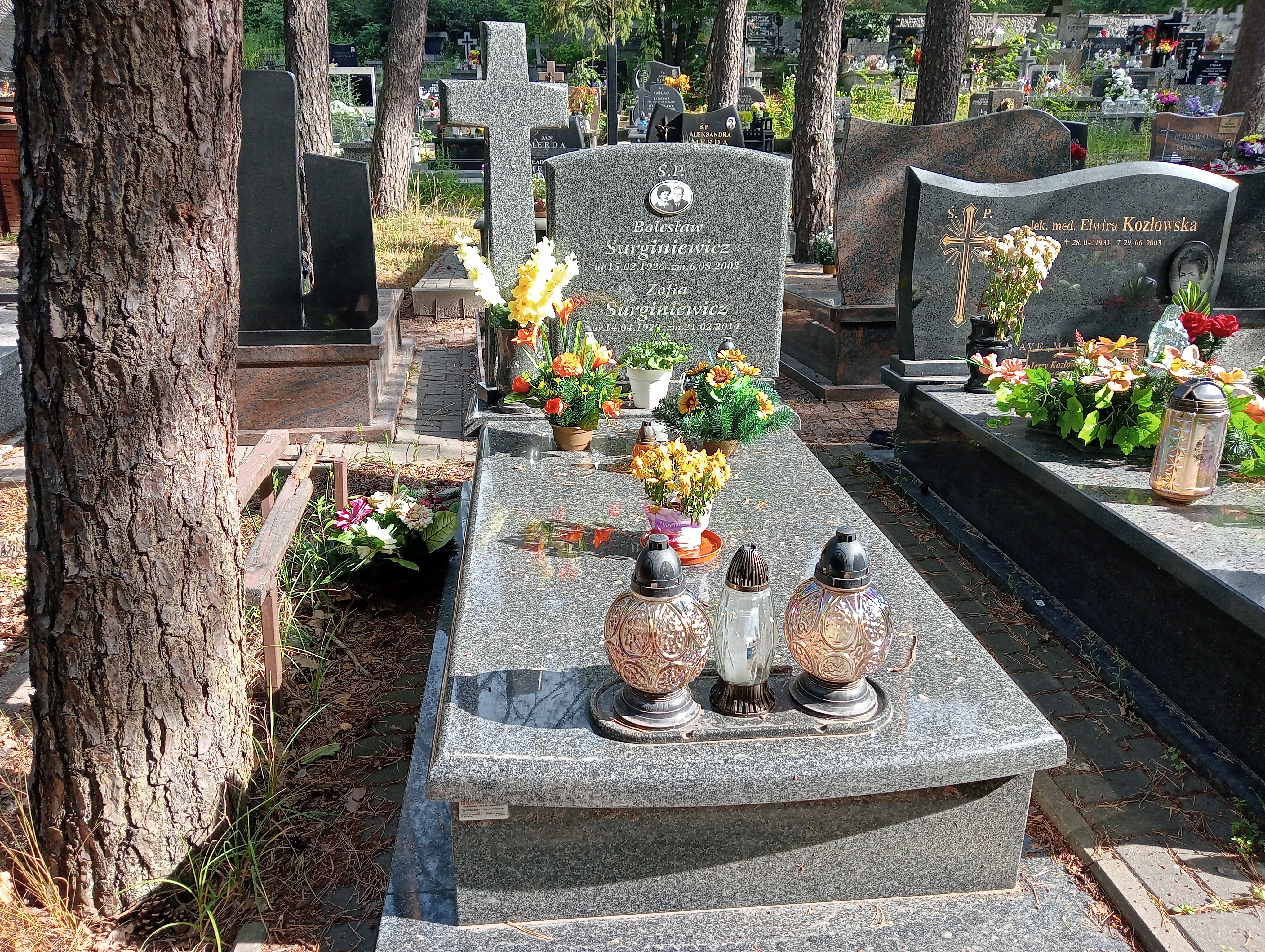 Grób Bolesław Surginiewicz